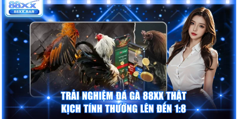 Trải Nghiệm Đá Gà 88XX Thật Kịch Tính Thưởng Lên Đến 1:8